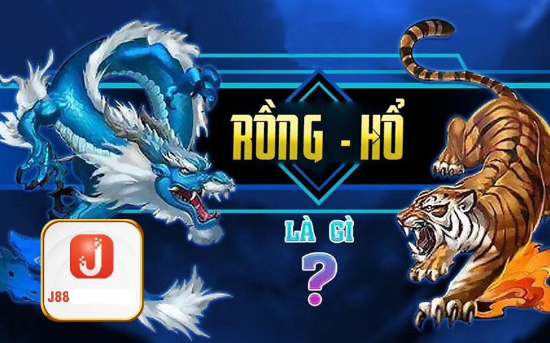 Tìm hiểu Rồng Hổ là gì? 